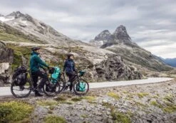 ORTLIEB Back-Roller Free QL2.1 -BikeHub Verkäufe Free Bild2