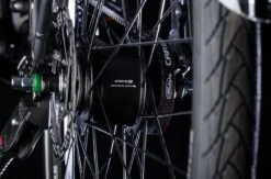 Bulls Lacuba-Evo Lite 5-Gang 2019 -BikeHub Verkäufe Inter5