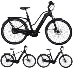 Kettler Quadriga Pro Belt Enviolo 2019