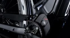 Bulls Lacuba-Evo Lite 5-Gang 2019 -BikeHub Verkäufe Motor