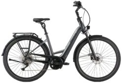 Pegasus Premio-Evo-10 Lite-Comfort 2021 -BikeHub Verkäufe Pegasus Premio Evo 10 Lite Comfort 2021 Tiefeinstieg Unisex Damen Wave black chrome matt anthrazid schwarz matt 734 735 736 42445 42450 42455