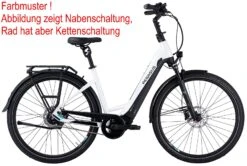 Pegasus Premio-Evo-10 Lite-Comfort 2021 -BikeHub Verkäufe Pegasus Premio Evo 10 Lite Comfort 2021 Tiefeinstieg Unisex Damen Wave metallic off white black matt weiss schwarz 734 735 736 42645 42650 42655