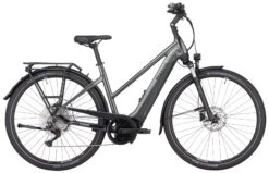 Pegasus Premio-Evo-10 Lite 2022 -BikeHub Verkäufe Pegasus Premio Evo 10 Lite 2022 Damen Trapez chrome black matt grau anthrazid 644 645 646 32345 32350 32355