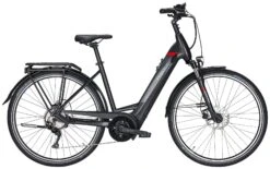 Pegasus Premio-Evo-10 2021 8 Pegasus Premio-Evo-10 2021 -BikeHub Verkäufe Pegasus Premio Evo 10 2021 Tiefeinstieg Unisex Damen Wave black matt schwarz red rot 734 735 736 36145 36150 36155