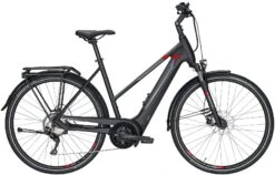 Pegasus Premio-Evo-10 2020 -BikeHub Verkäufe Pegasus Premio Evo 10 Damen Trapez black matt grey red 714 715 716 49745 49750 49755