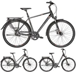 Pegasus Premio SL-Belt 2019 8-Gang