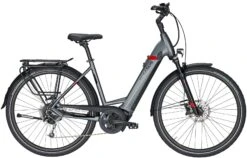 Pegasus Strong Evo-9 2020 -BikeHub Verkäufe Pegasus Strong Evo 9 2020 Damen Wave grau matt schwarz rot 714 715 716 68445 68450 68455 68460