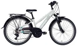 Pegasus Avanti 2022 18-Gang -BikeHub Verkäufe file 61BB590D0A48355D5EC4